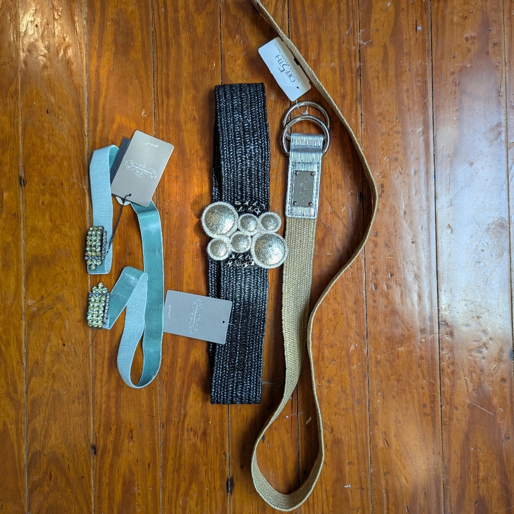 Michael Kors And Anthropologie Belt Set